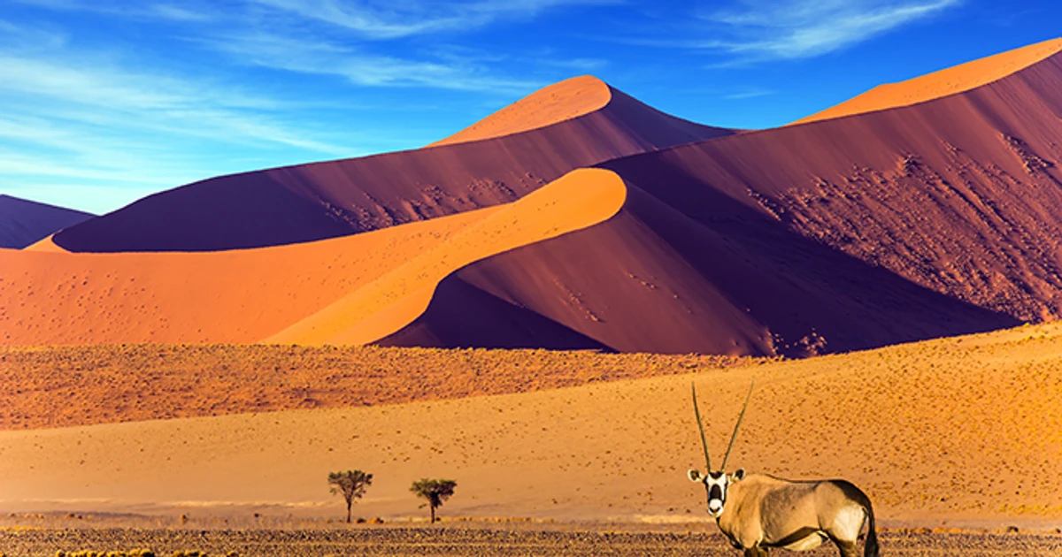 Namib Desert - An Ultimate Guide To Namibia’s Natural Marvel